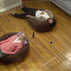 <i>Lady Dynamite </i>masters the art of doing nothing